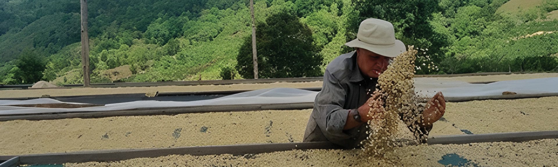 Exceptional Coffee for Every Cup